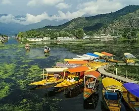Srinagar Tour Packages