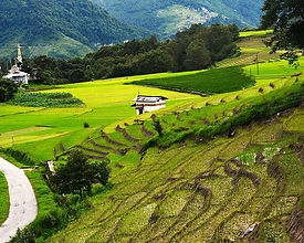 Ziro Valley Tour Packages