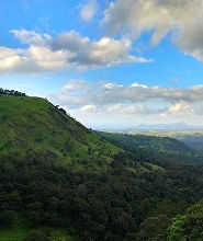Wayanad Tour Packages