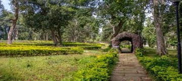 Yercaud 2 Days Tour Package from Madurai