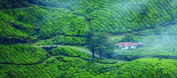 Munnar 2 Days Tour Package from Madurai