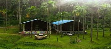 Chikmagalur and Sringeri 3 Days Tour Package from Mangalore