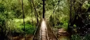 Bangalore to Coorg, Nagarhole & Iruppu Falls 2 Days Tour Package.avif