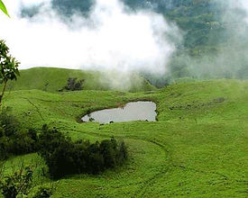 Wayanad Tour Packages