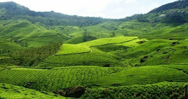 Munnar Tour Packages from Madurai.jpg