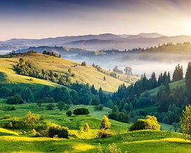 Kodaikanal Tour Packages