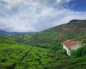 Coorg Tour Packages
