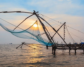 Tour Packages from Kochi