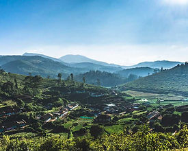 Ooty Tour Packages