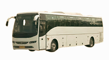 Large & Volvo Buses_edited.jpg