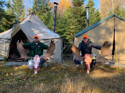 maine moose hunting guides, guided maine moose hunt, trophy maine moose hunt, remote maine moose hunt