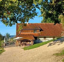 Hirtenhütte Remel kompr.jpg