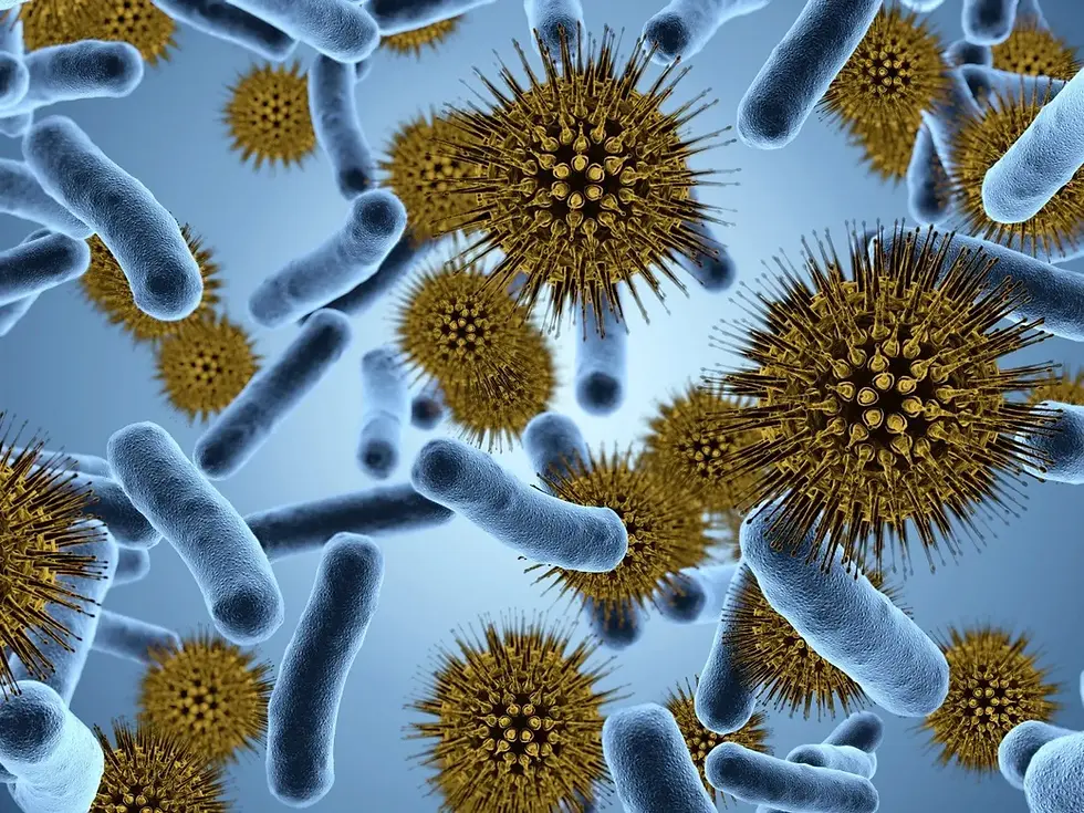 microscope_to_see_bacteria.webp