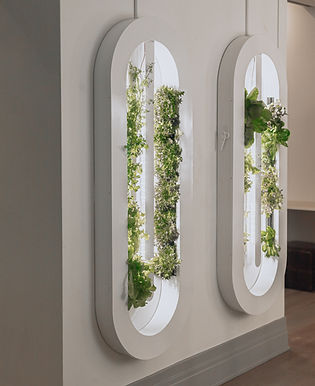 Hollbium_loop_lunchroom (1).JPG