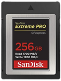 SanDisk 256GB CF Express_edited_edited.p