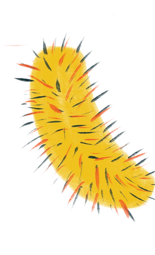 Illustrations-14.png