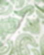 Green_Paisley_edited.png