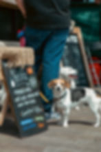 Taunton Independent Market