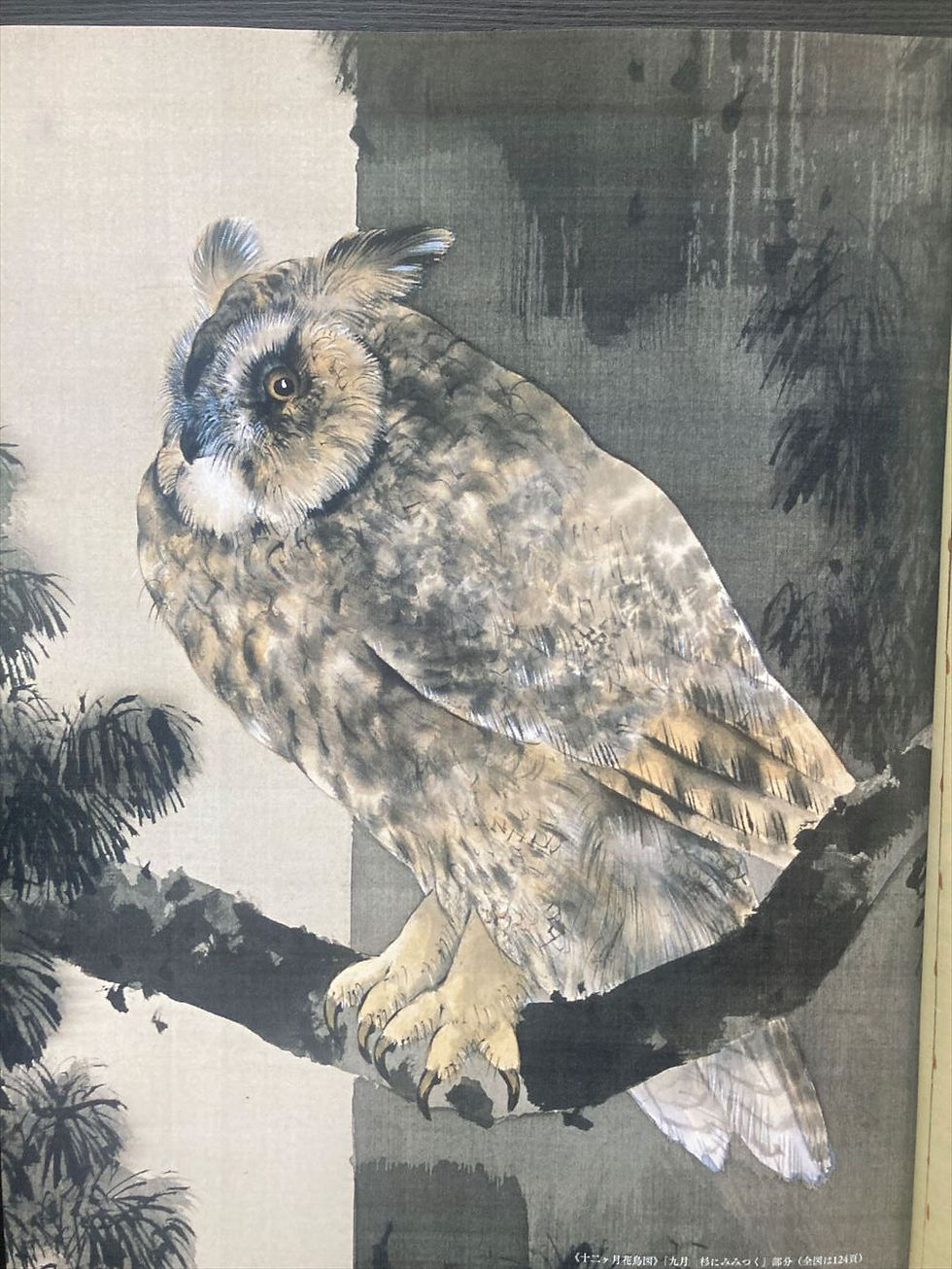 Thumbnail: Watanabe Shotei The Splendor of Bird and Flower Paintings