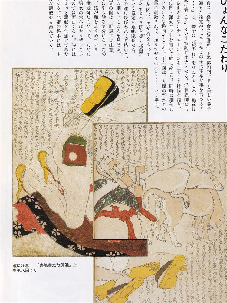 Thumbnail: Hokusai Manga and Shunga
