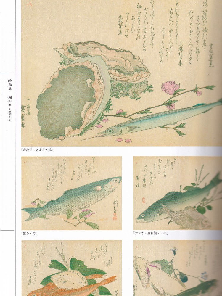 Thumbnail: Edo Fish Illustrations