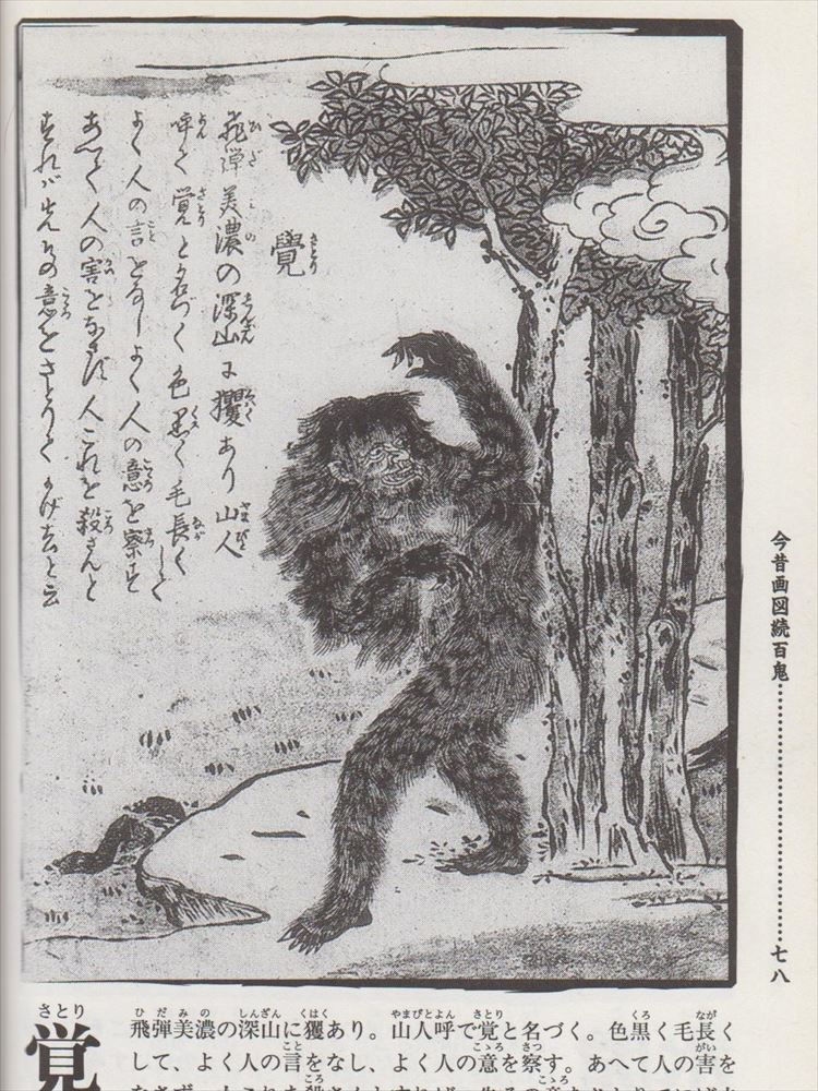 Thumbnail: Showa Chibikko Mysterious Pictorial