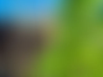 spring refresh sessions at iglu sauna hebden bridge