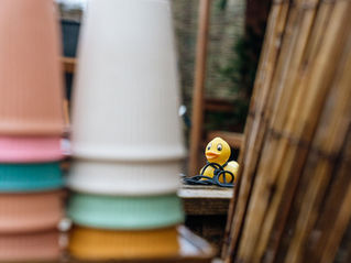 little duck at iglu for family sessions 