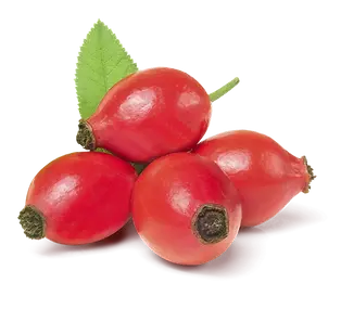 Rose-Hips.webp