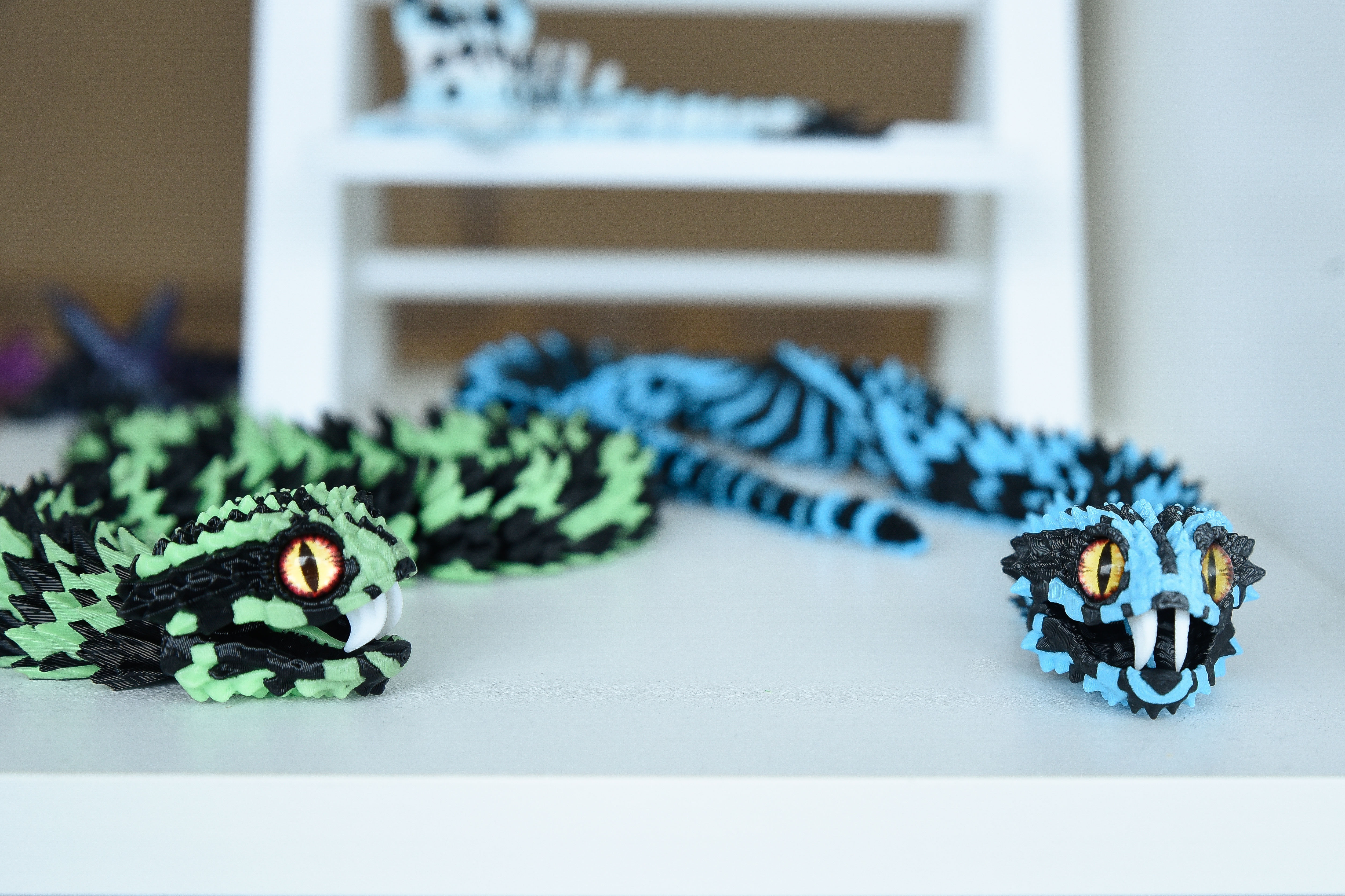 Fang tooth Snake
