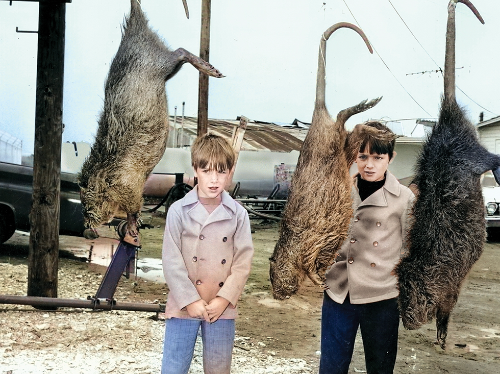 Screenshot 2025-10-11 at 1.55.42 PM.png