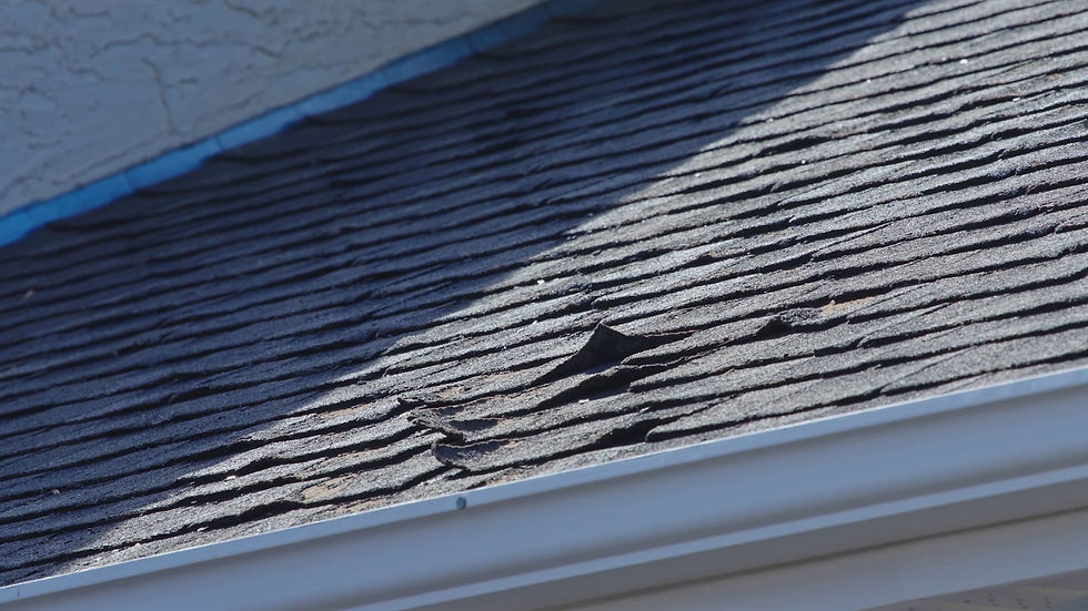 Roof-Assessment-scaled.jpg