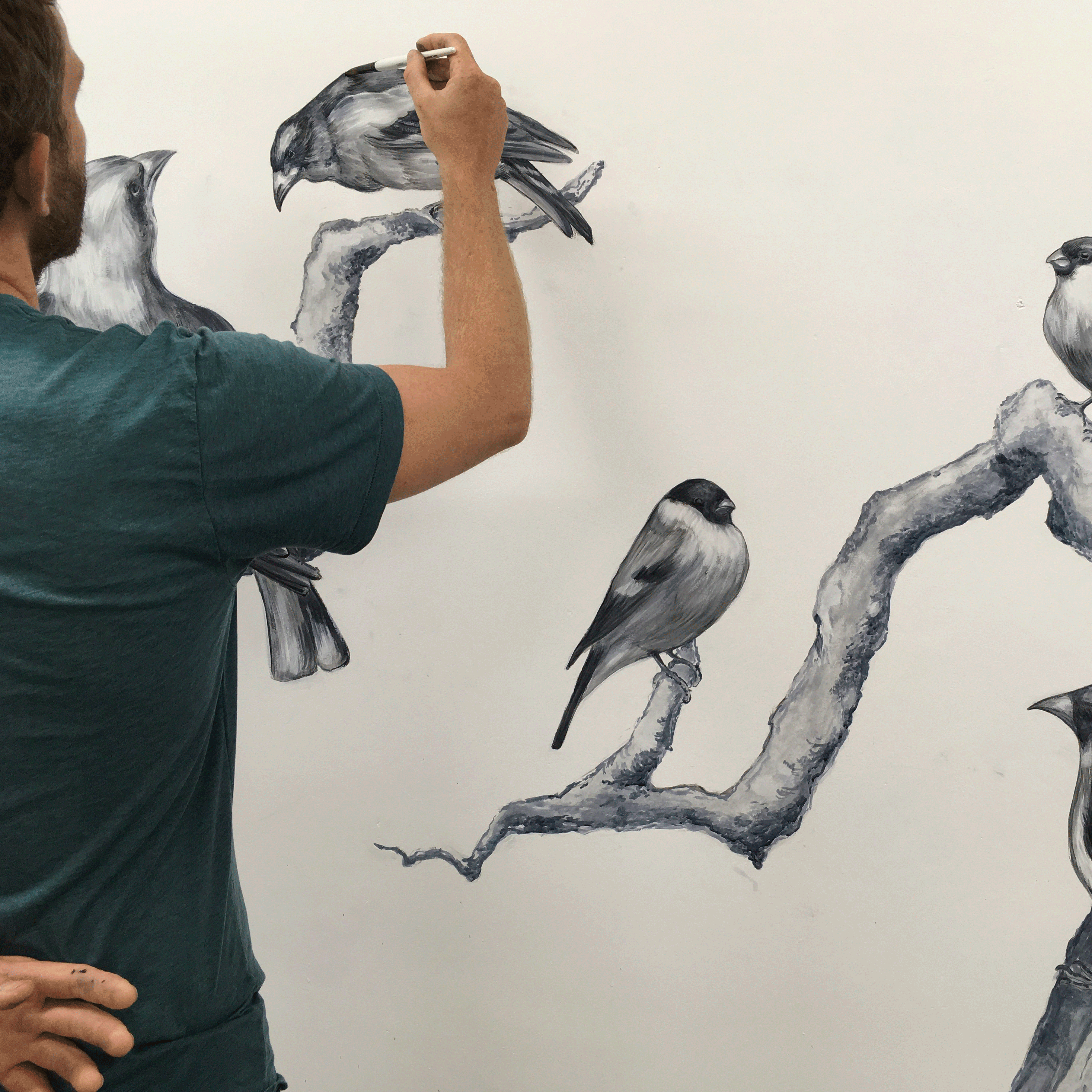 Vintage Birds Desaturated Mural London