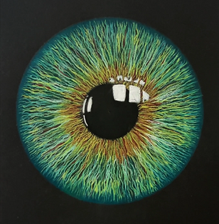 Dessin d'un iris réaliste vert et bleu avec les crayons de couleur Caran d'Ache