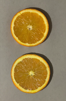 Dessin réaliste d'un orange