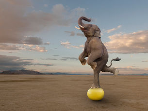 From hierarchy to agility: which structure fits your strategy?