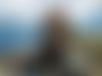 Photos at Thompson Pass