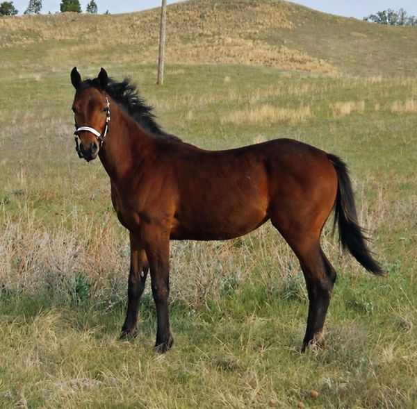 B7F5B960-24C7-493D-BBC5-E007DF294402_edited.jpg