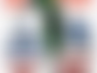 MCBA Fall ComiCon October 7, 2017