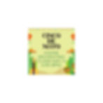 Paradise Sugar Shoppe: Cinco de Mayo Cookie Decorating Class