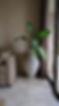 Innenraum des VitalNeuro Center Zürich – ruhige, natürliche Atmosphäre mit Pflanzen und warmem Design für das Wohlbefinden der Patientinnen und Patienten.