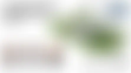 Retour sur le webinaire terrabella × makesense du 5 février 2026