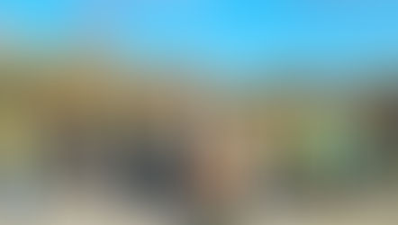 Retour sur la plantation d’arbres au verger citoyen