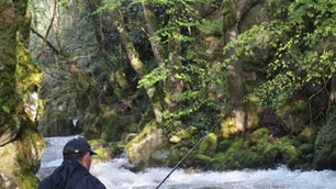 Les trésors cachés de la pêche à la Truite arc-en-ciel : l'expérience d'Alphonse Arias