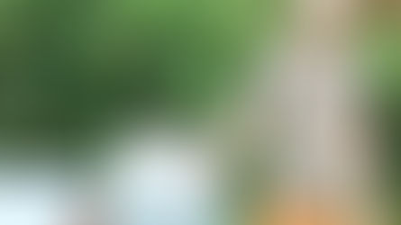 Portrait : les entrepreneurs de Renac avec Sébastien Bricard