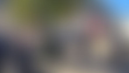 Retour en images cérémonie du 19 mars 1962