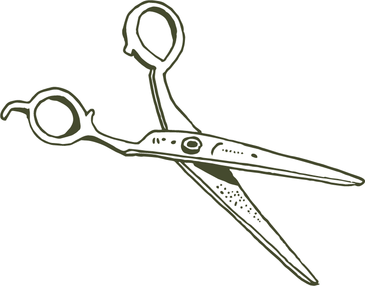 reine-marie_salon_privé_illustration_2.png