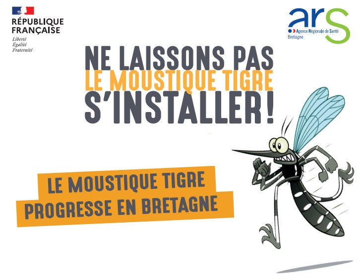 Lutte contre le moustique tigre dans le Morbihan