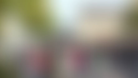 Commémoration du 11 novembre : retour en images