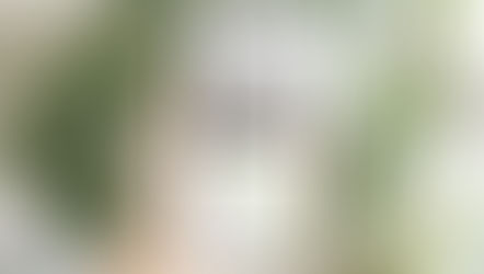 Le site internet Wix Studio pour cette solution RH